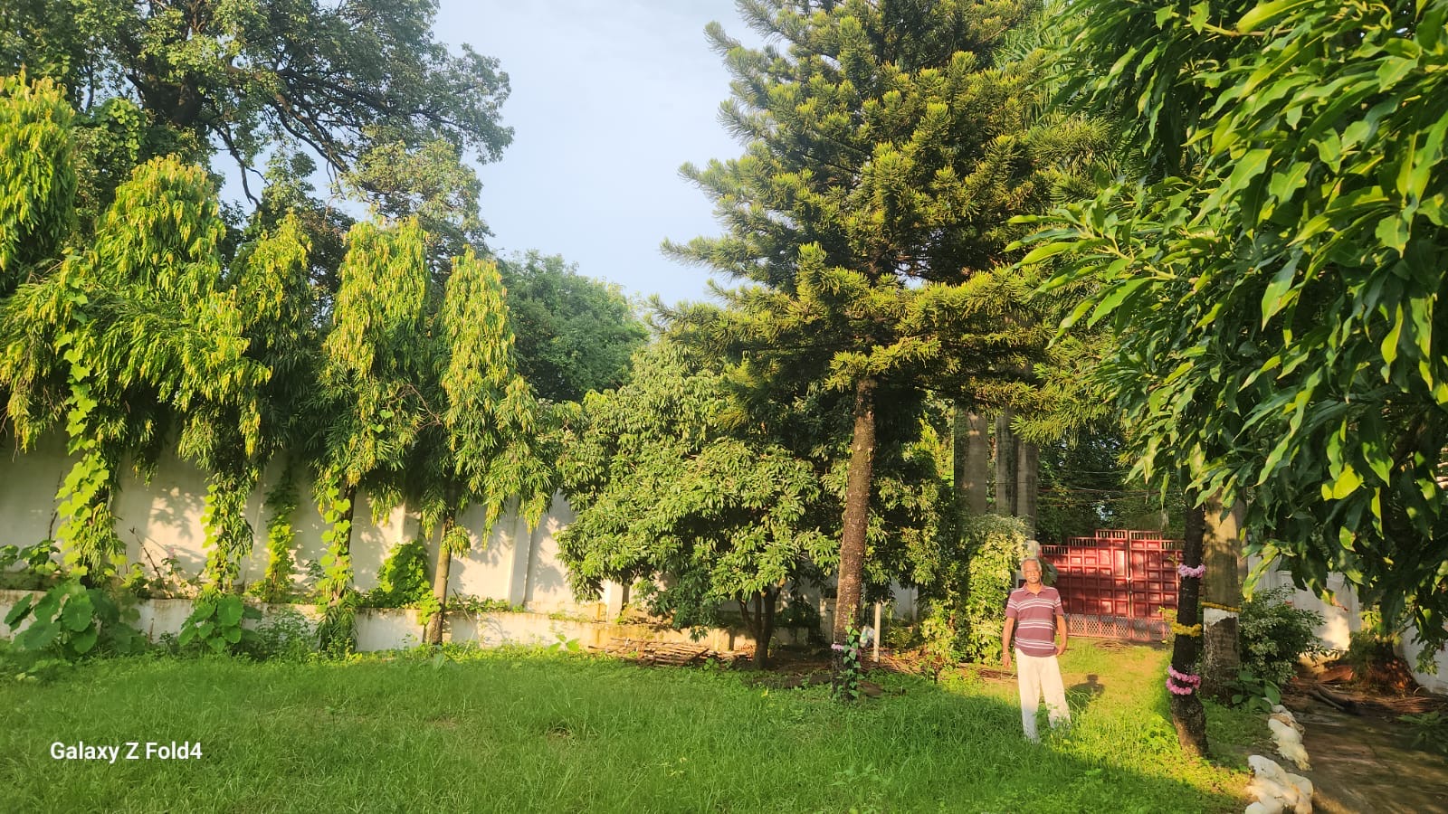 Open Lawn and Compound