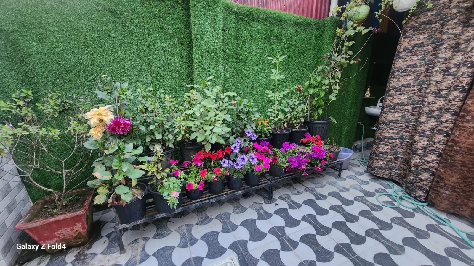 Flowers